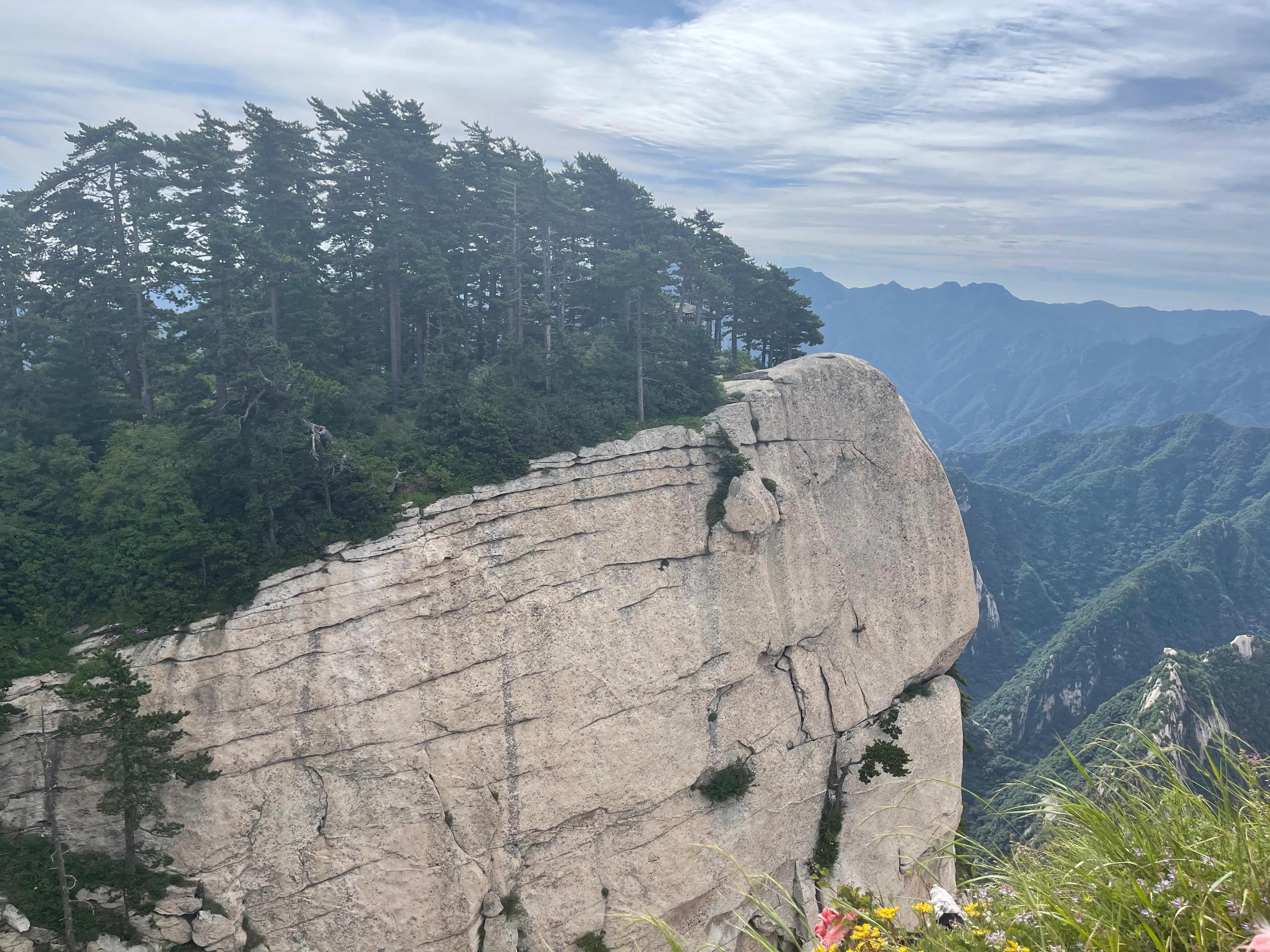 自鳴得意，高不可攀 檐边嫩柳学身轻打一准确生肖请全面2释义、解释与落实、定量解答解释落实