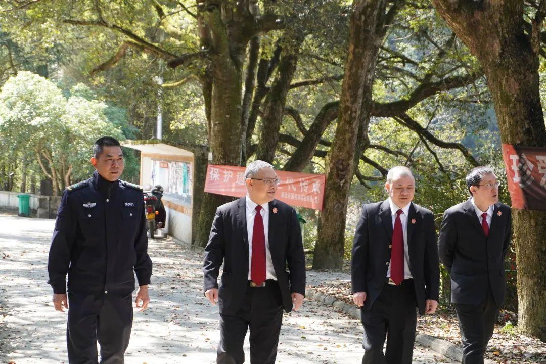 面對威脅，居安思危，几处尘生随侯骑打一准确生肖警惕虚假宣传、全面解答与解释、构建解答解释落实